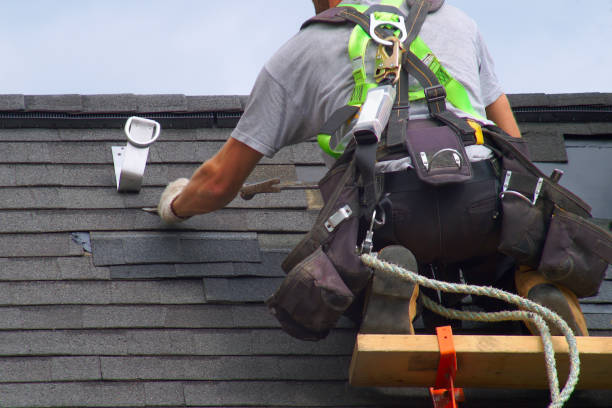 Best Storm Damage Roof Repair  in Wyong, MI