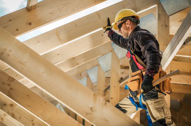 Best Roof Gutter Cleaning  in Wyong, MI