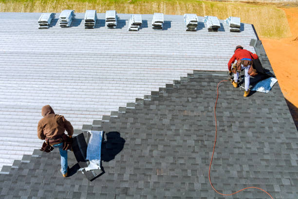 Best Residential Roofing Contractor  in Wyong, MI