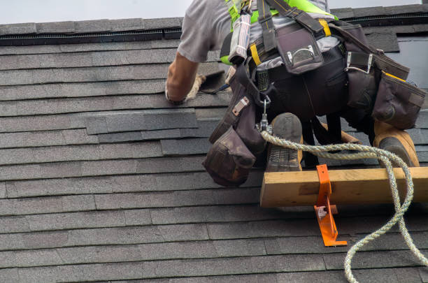 Best Roof Repair Services  in Wyong, MI