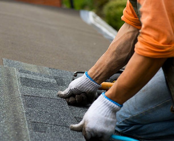 Best Local Roofing Companies  in Wyong, MI