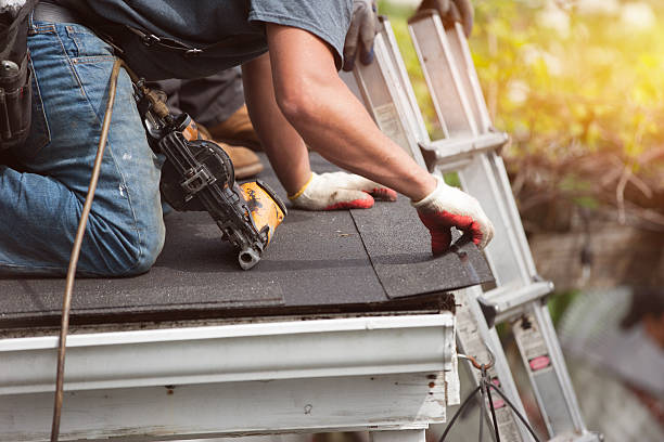 Best Roof Waterproofing Services  in Wyong, MI