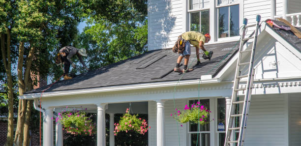 Best Metal Roofing Contractor  in Wyong, MI