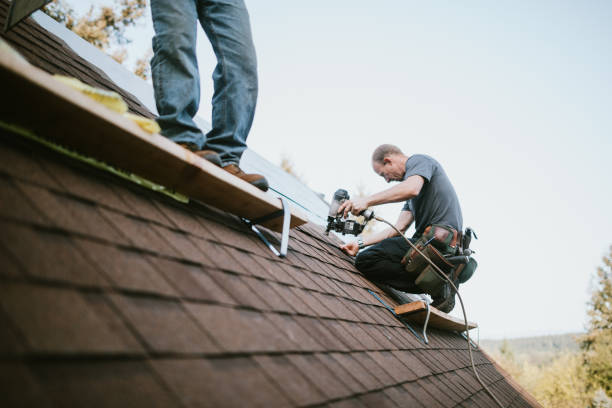 Best Storm Damage Roof Repair  in Wyong, MI
